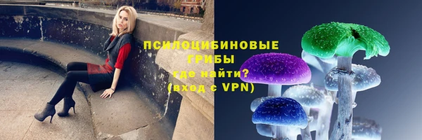 спиды Верея