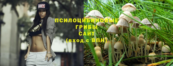 спиды Верея