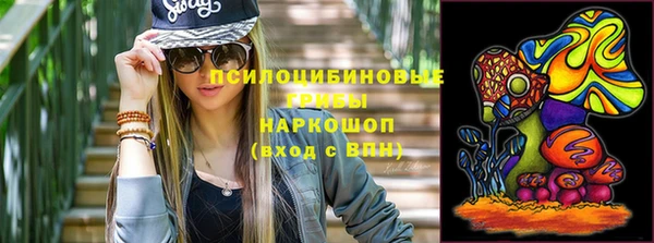 спиды Верея